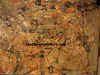 Face of confusionTTG.jpg (456361 bytes)
