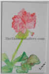 twin flowers eastTTG.jpg (97024 bytes)